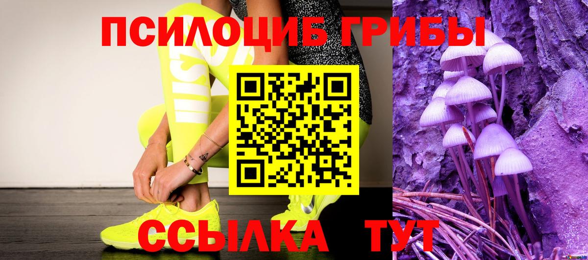Псилоцибиновые грибы Cubensis  Псилоцибиновые грибы Psilocybe  Кашира  Вход с VPN 